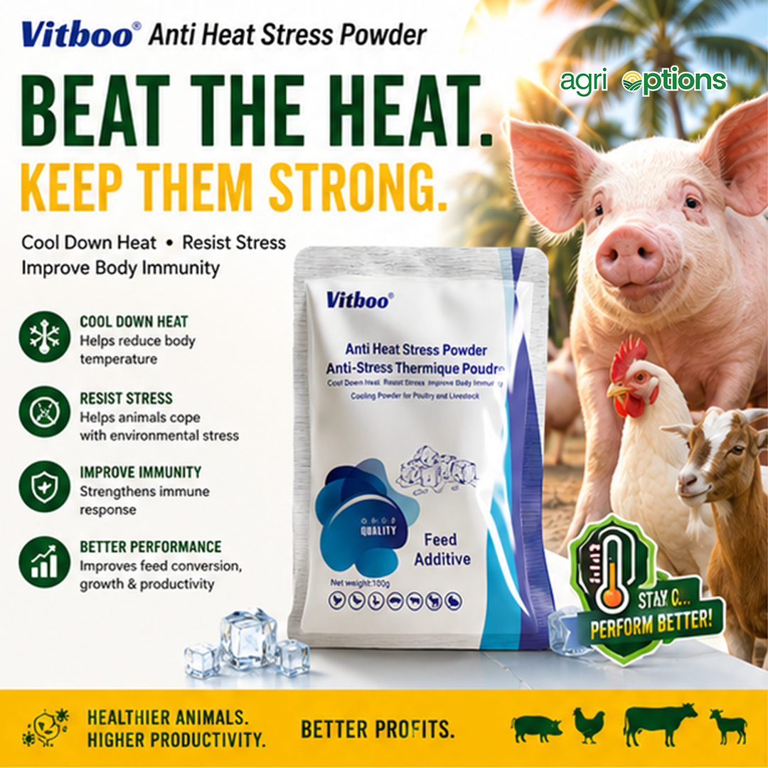 Vitboo Anti Heat Stress Powder_thumbnail_8