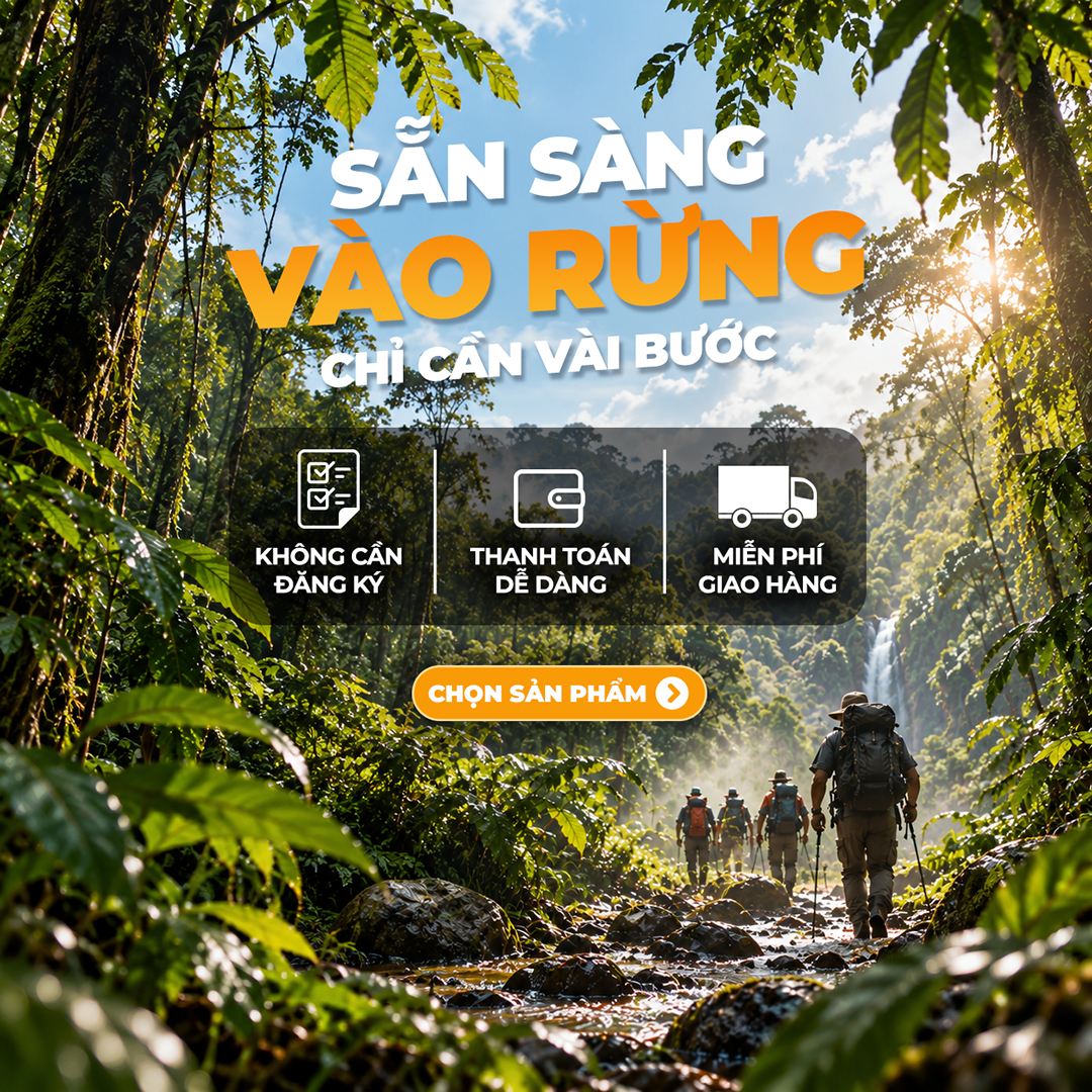 banner vuong