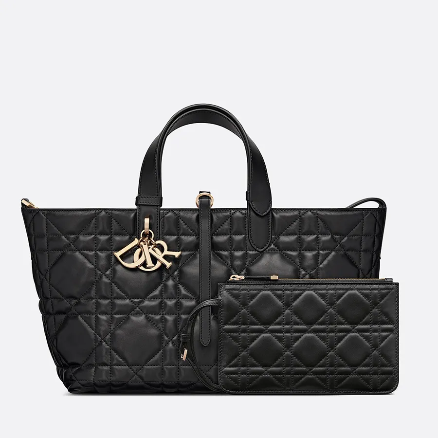 Dior Medium Toujours Bag_thumbnail_1