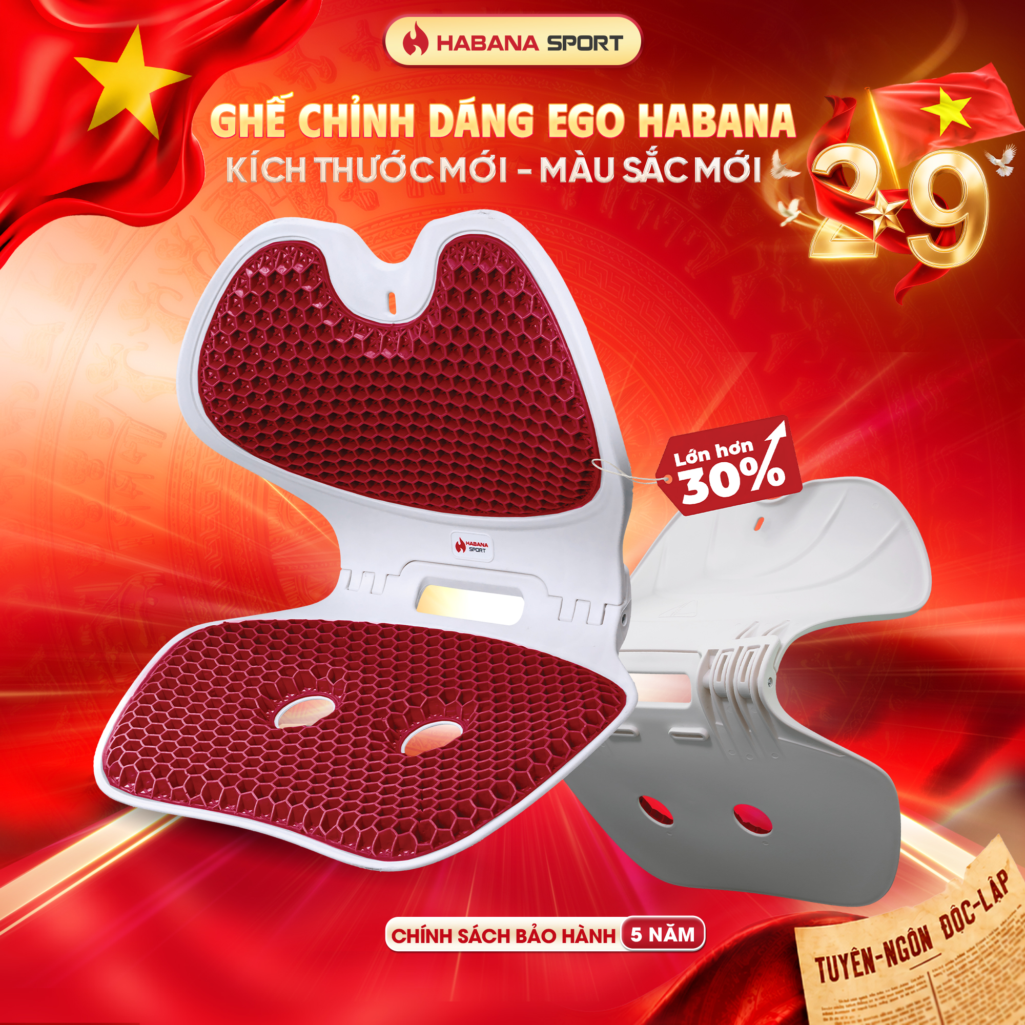 Ghế giảm đau lưng chống gù Habana Sport Chính Hãng SIZE Lớn 