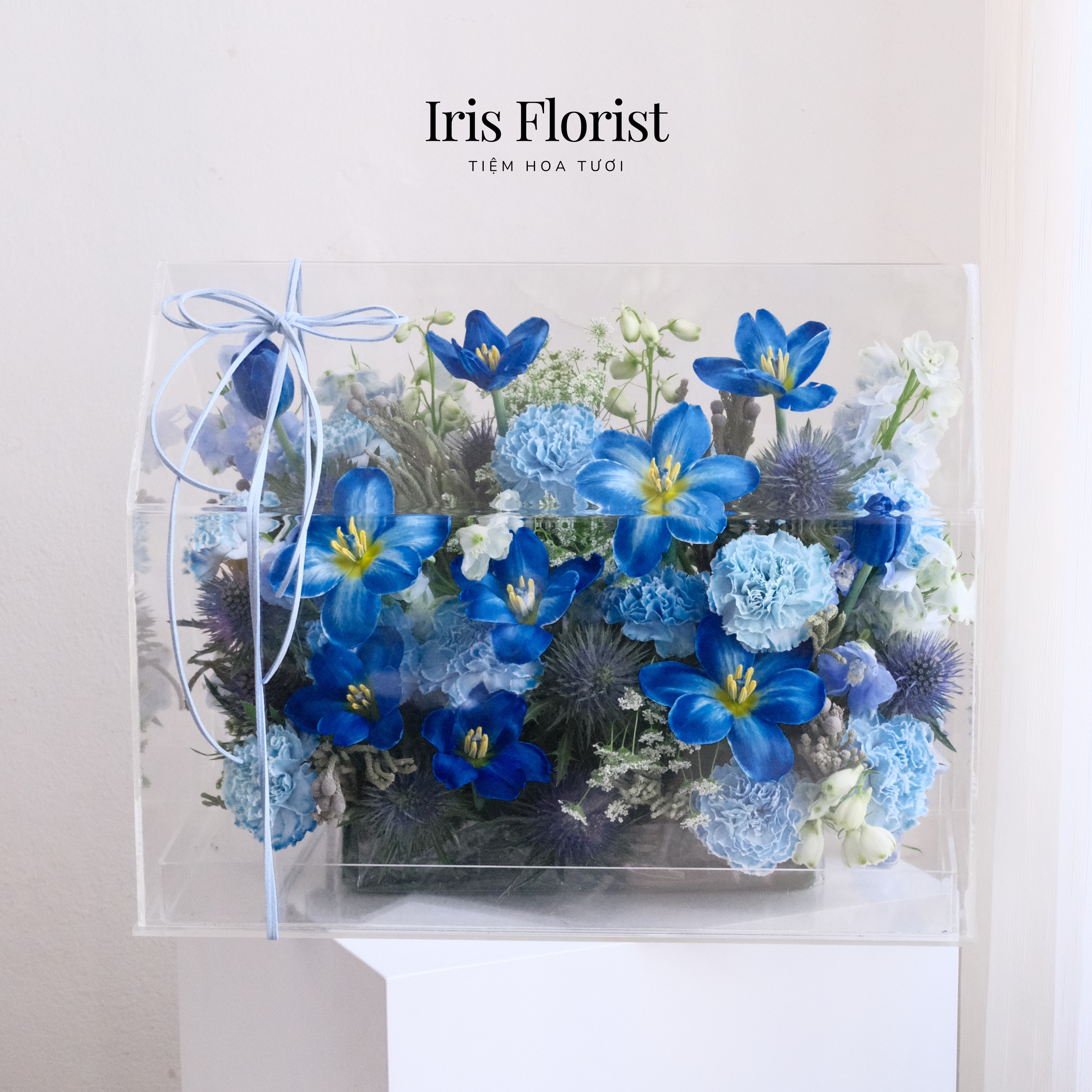 Blue Sapphire Box - Ngội nhà hoa tone Xanh Dương đậm