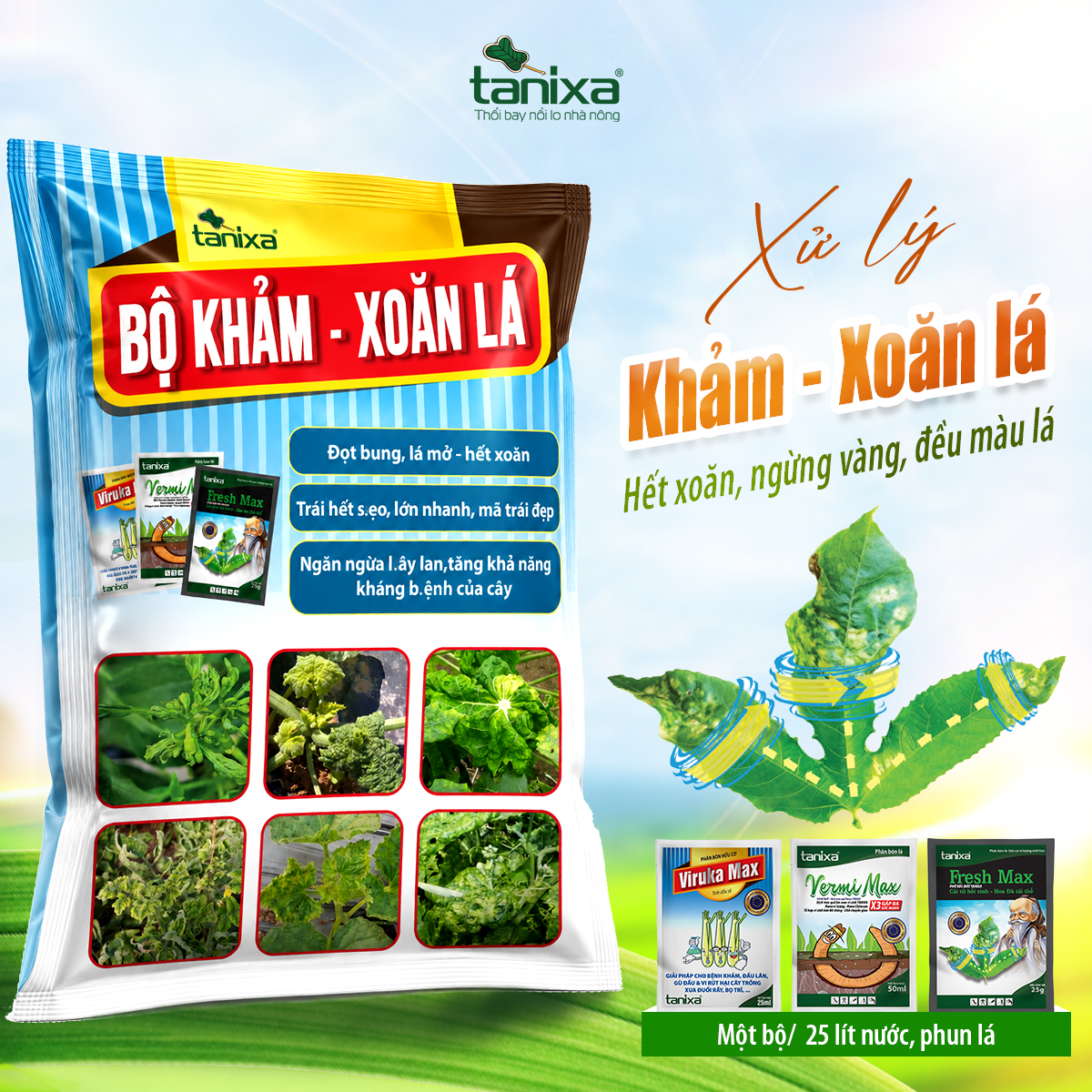 Bộ Khảm - Xoăn lá Tanixa (KM)