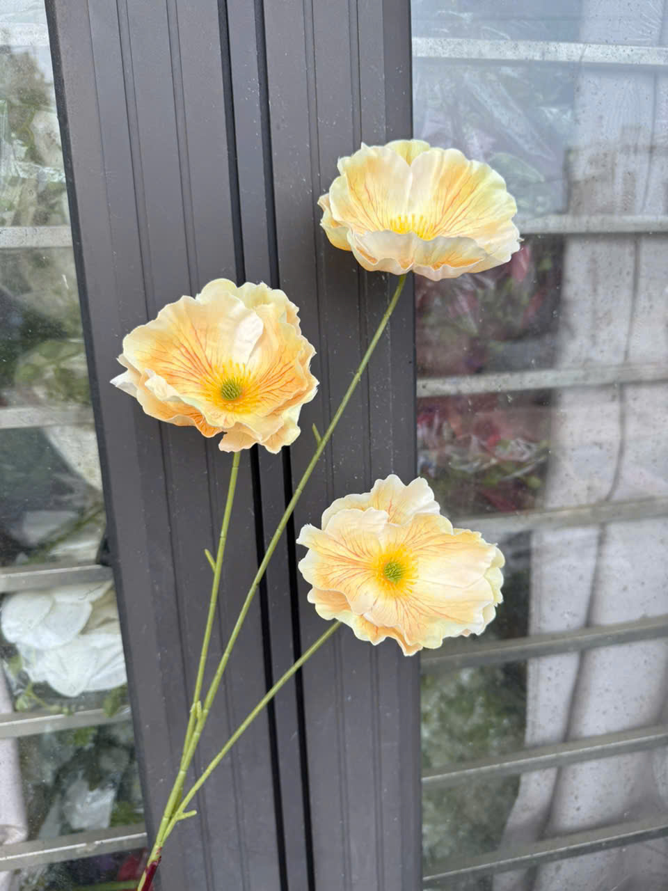 ANH TÚC 3D CAO 85CM 13K_thumbnail_9