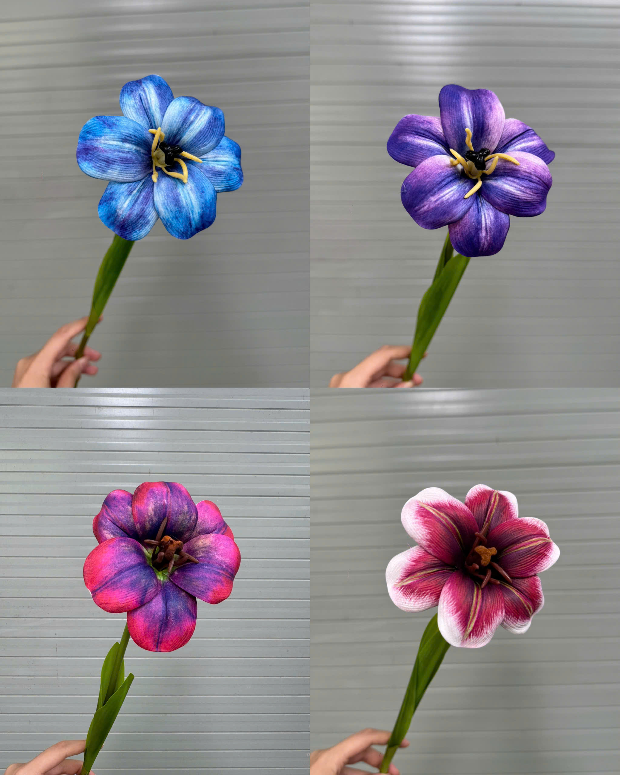 TULIP NỞ 17K_thumbnail_3