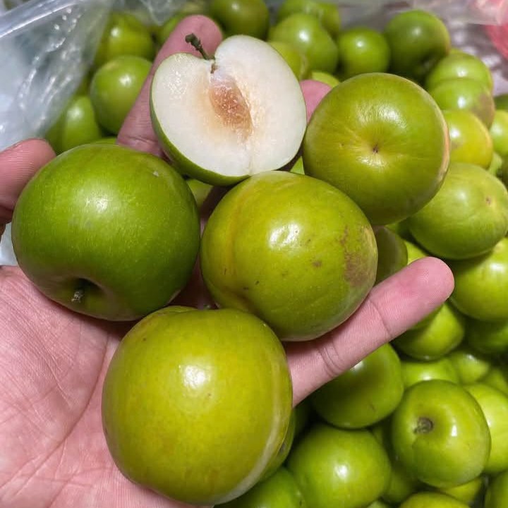 Táo Hồng Miền Tây