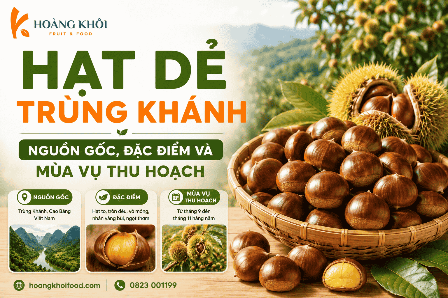 Hạt dẻ Trùng Khánh – Nguồn gốc, đặc điểm và mùa vụ thu hoạch