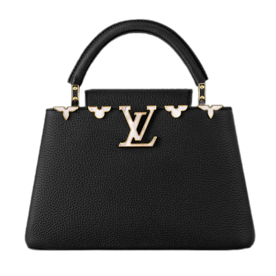 LV Capucines BB Handle Bag