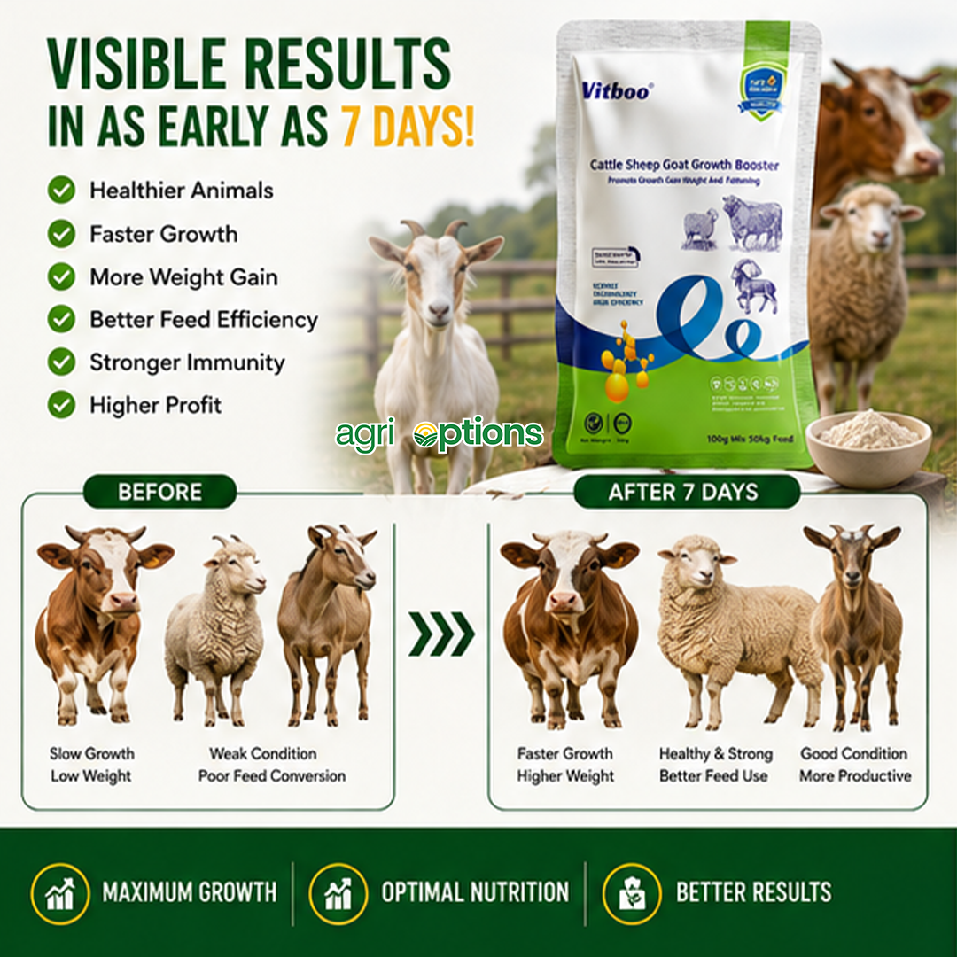 Cattle Sheep Goat Growth Booster_thumbnail_4
