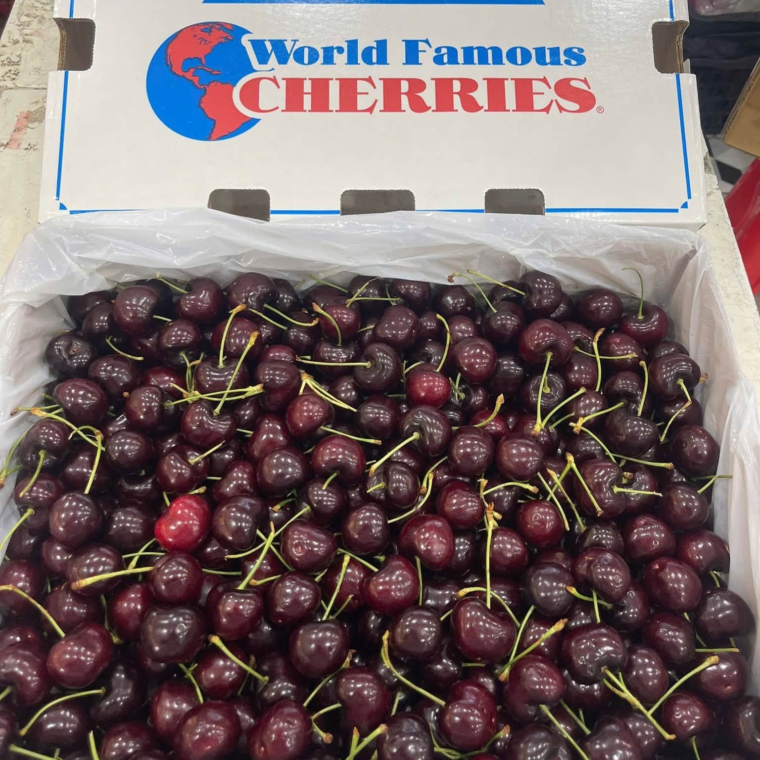 Cherry_thumbnail_3