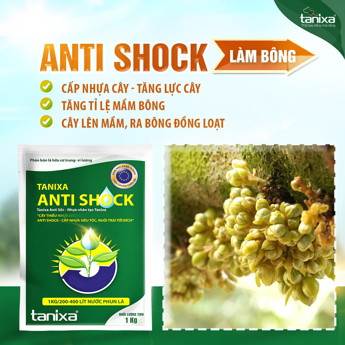 Tanixa Anti Shock túi 1kg New_thumbnail_4