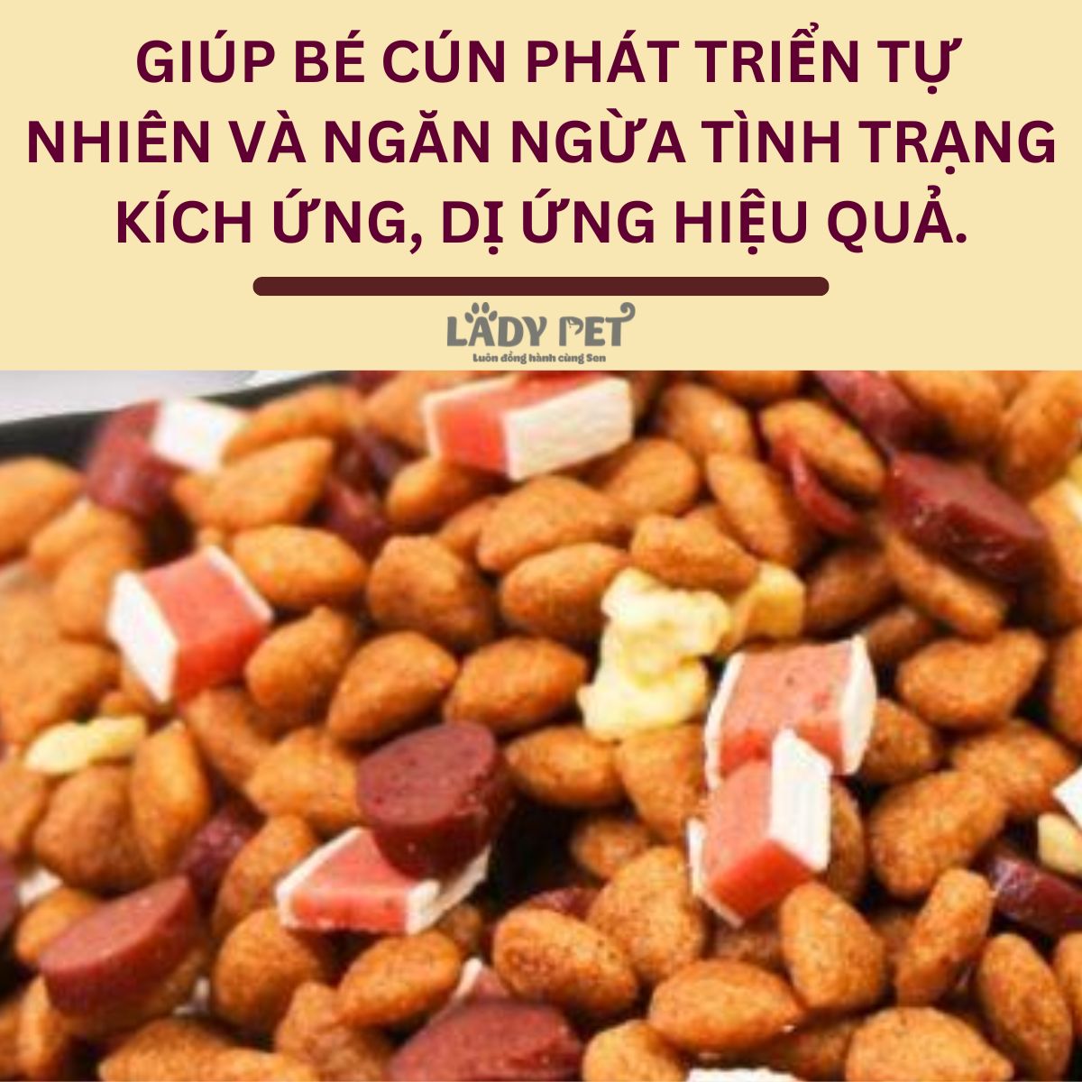 Hạt captain cho cún kén ăn_thumbnail_5