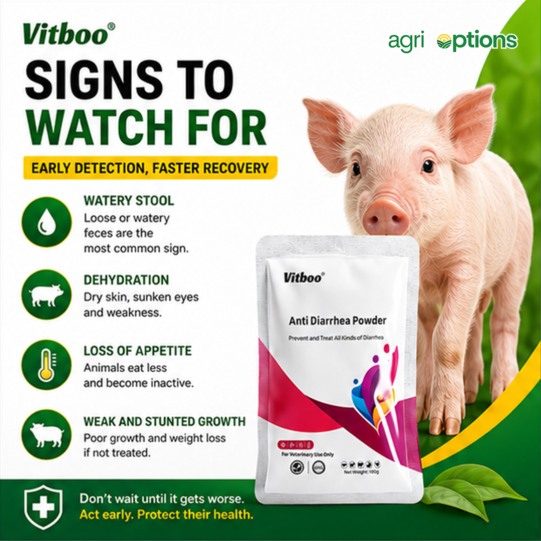 Vitboo Anti Diarrhea Powder_thumbnail_5
