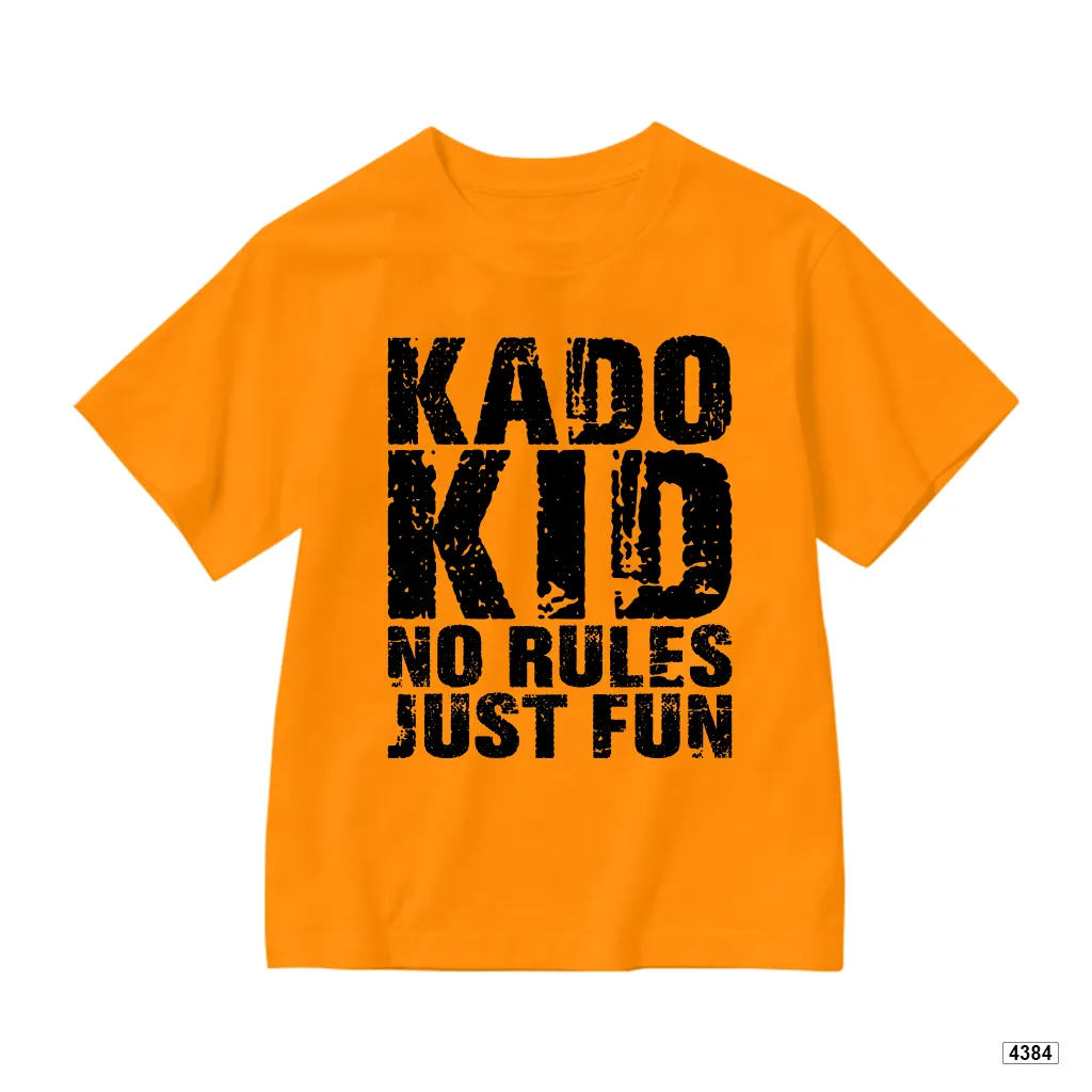 Áo thun bé trai Hàn Quốc no rules cá tính Kado 4386_thumbnail_14