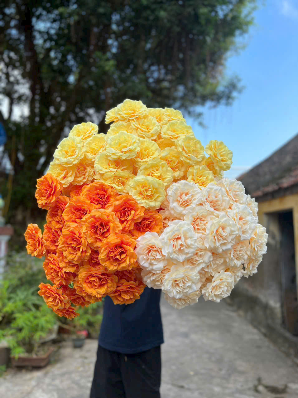 HỒNG XOĂN CÀNH NGẮN 10K_thumbnail_4
