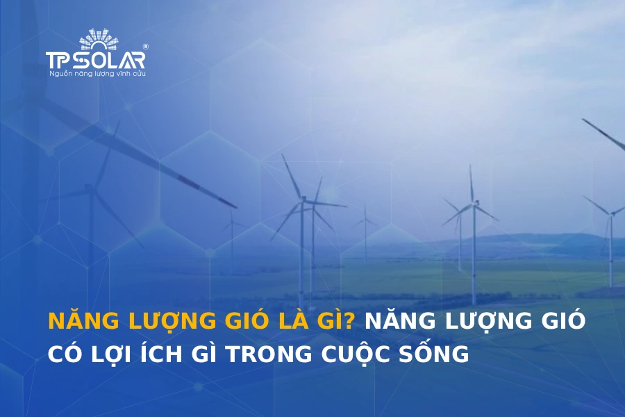 Năng lượng gió là gì? Năng lượng gió có lợi ích gì trong cuộc sống
