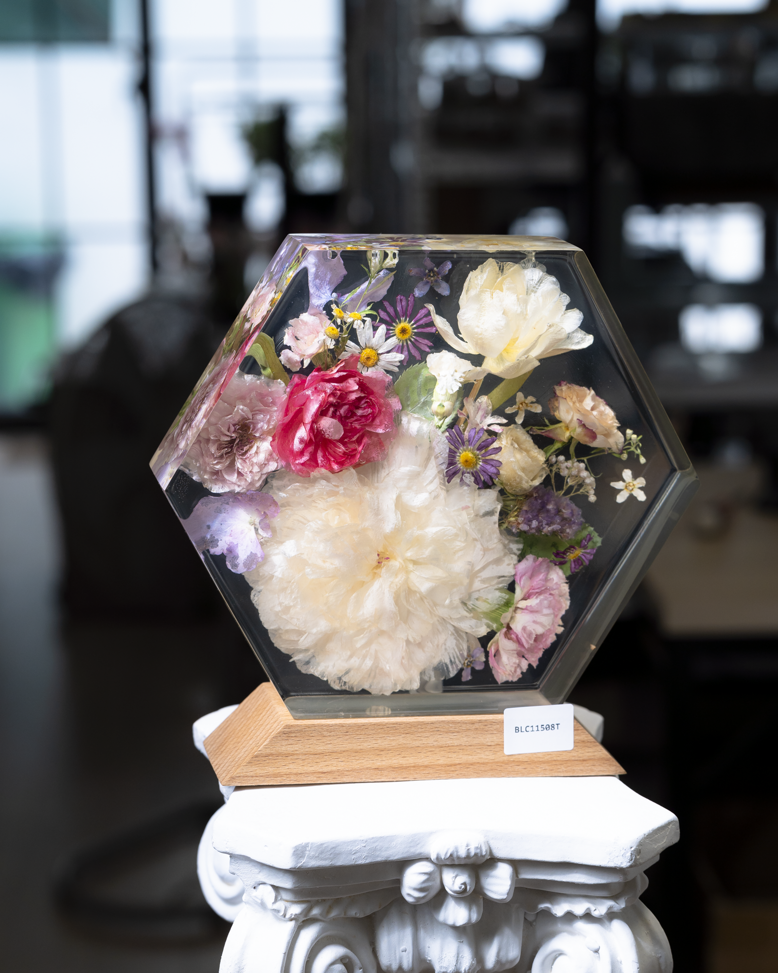 Đèn hoa khô Bloomlight BLC11508T