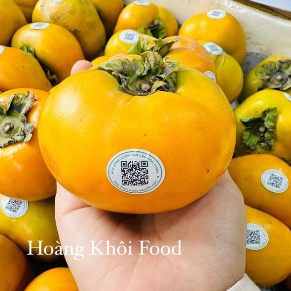 Hồng Giòn Fuji Mộc Châu_thumbnail_3