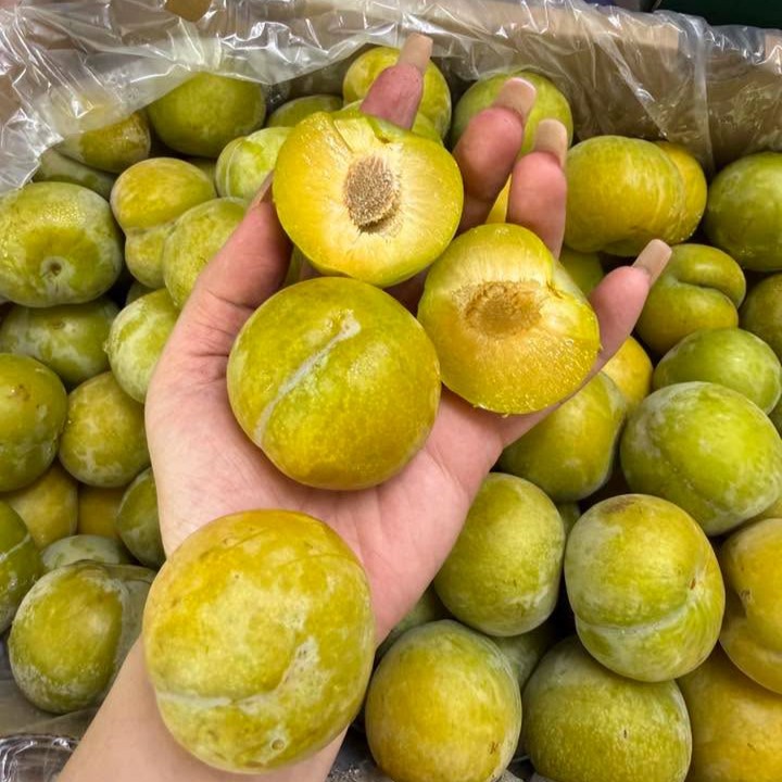 Mận Mật Ong_thumbnail_3