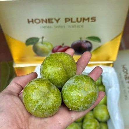 Mận Mật Ong_thumbnail_1