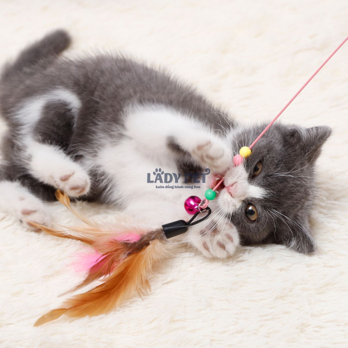 Đồ chơi cần câu mèo_thumbnail_6