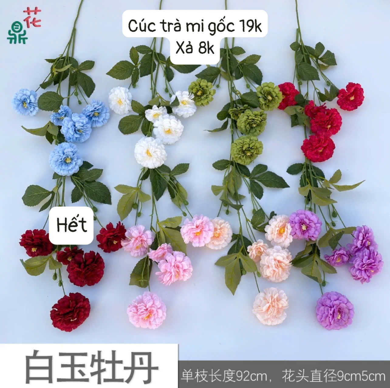 Cúc trà mi xả 8k_thumbnail_3