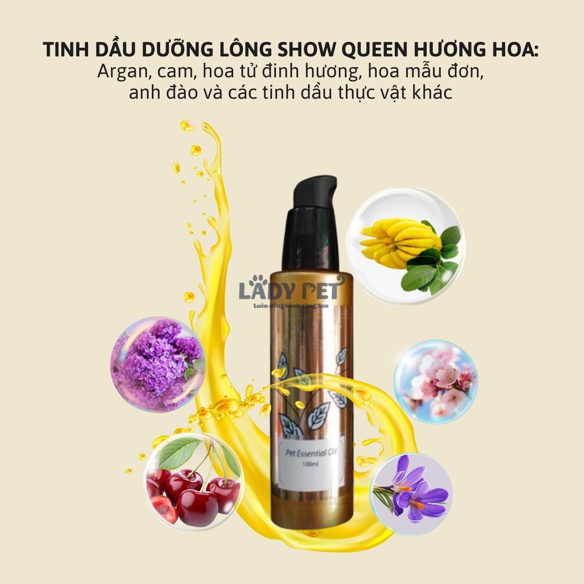 Tinh dầu dưỡng lông Showqueen_thumbnail_1