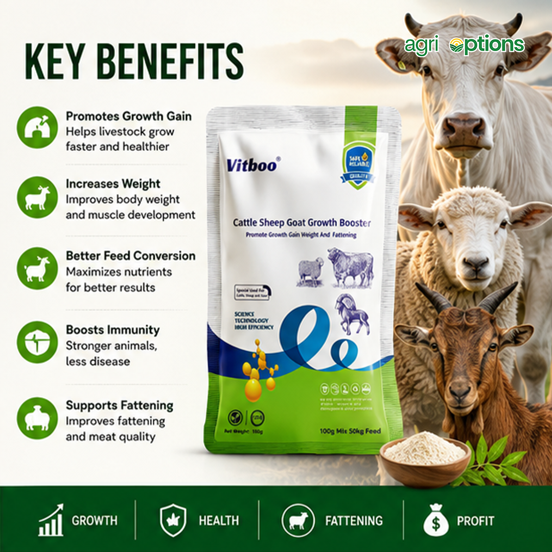 Cattle Sheep Goat Growth Booster_thumbnail_6