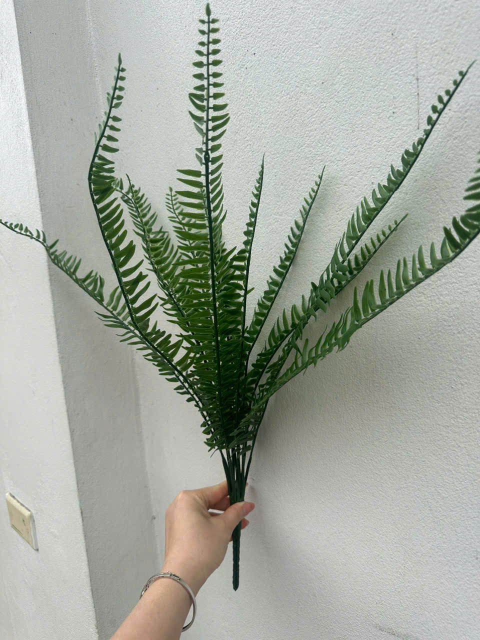 Dương xỉ mượt sẵn 2 màu giá 21k_thumbnail_1
