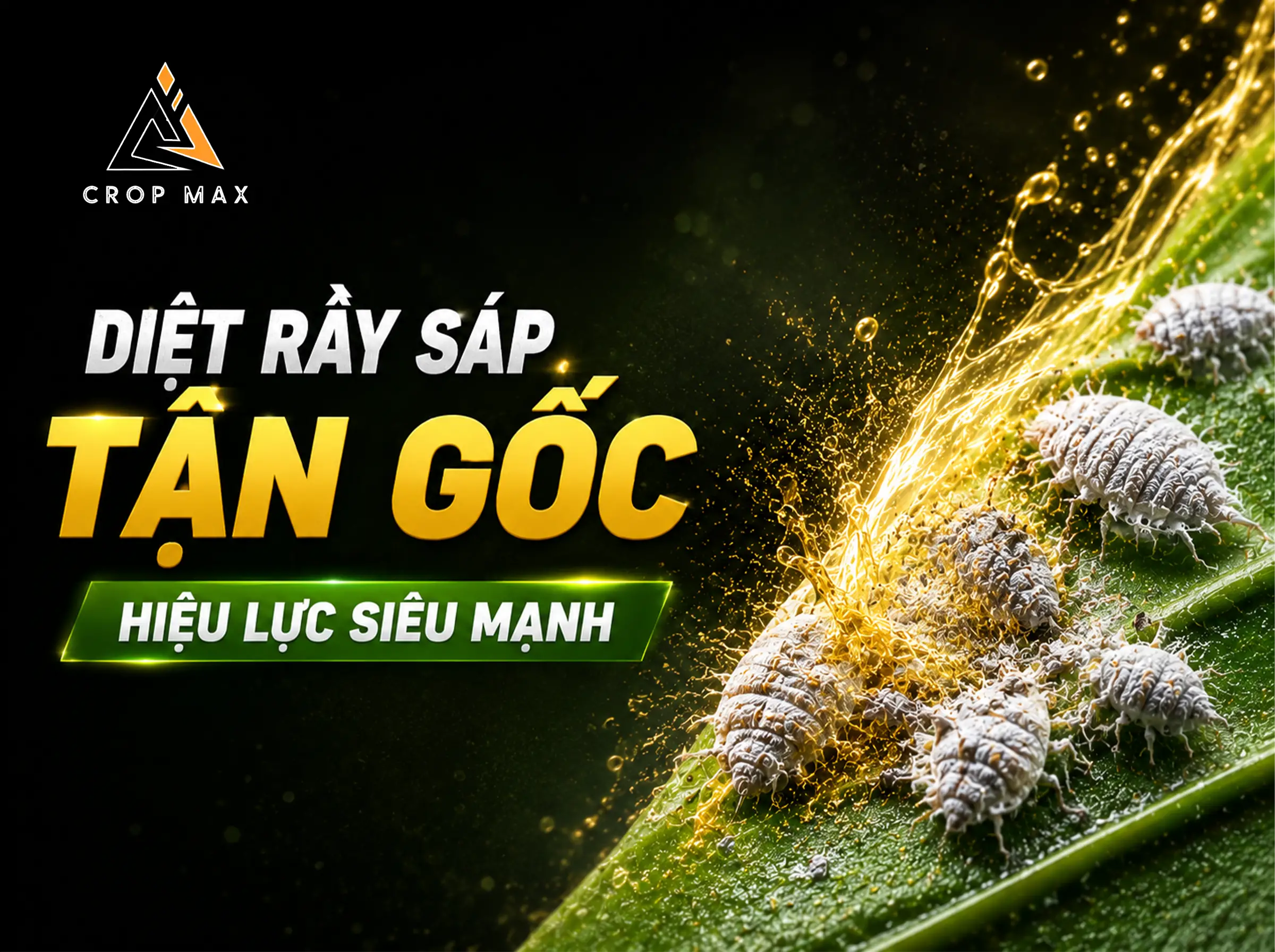 Lân Hữu Cơ & Cúc Tổng Hợp: Khắc Tinh Rệp Sáp, Sâu Rầy