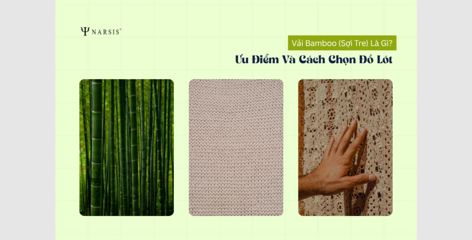 Vải Bamboo (Sợi Tre) Là Gì? Ưu Điểm Và Ứng Dụng Trong Đồ Lót Cao Cấp