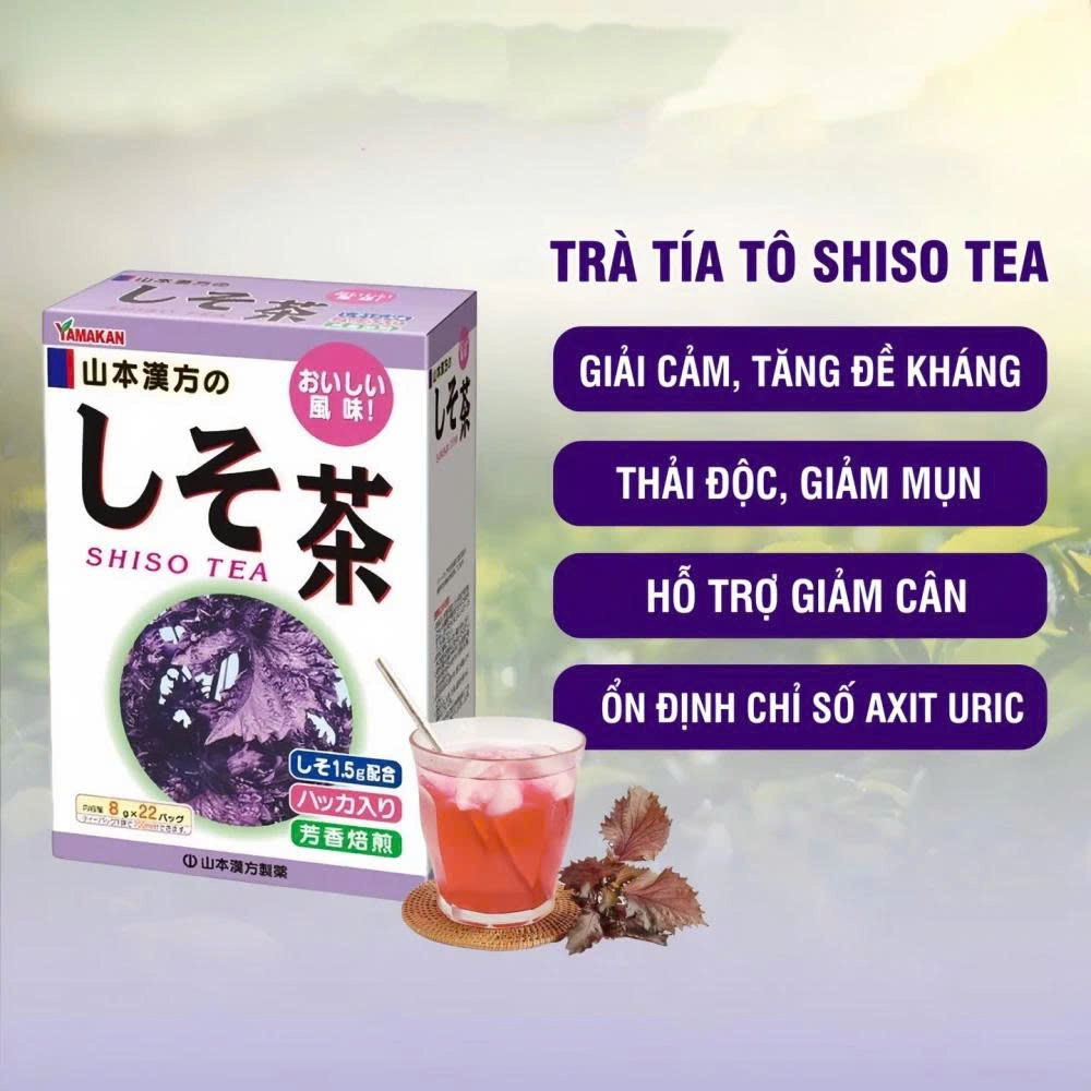 Trà Tía Tô Shiso Tea