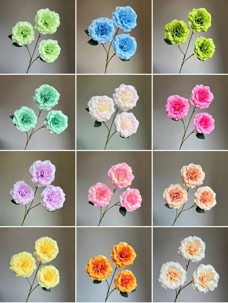 HỒNG XOĂN CÀNH NGẮN 10K