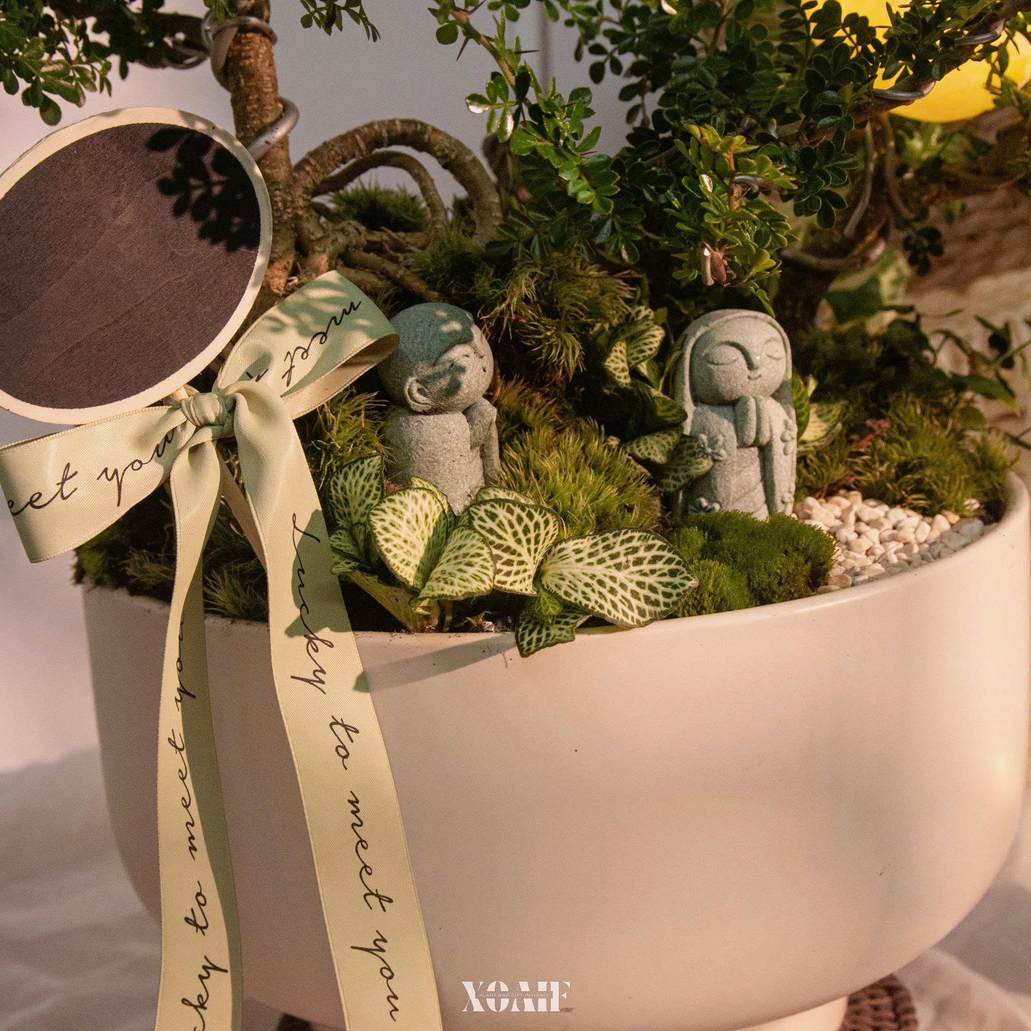 SET MIX 2 CẦN THĂNG 