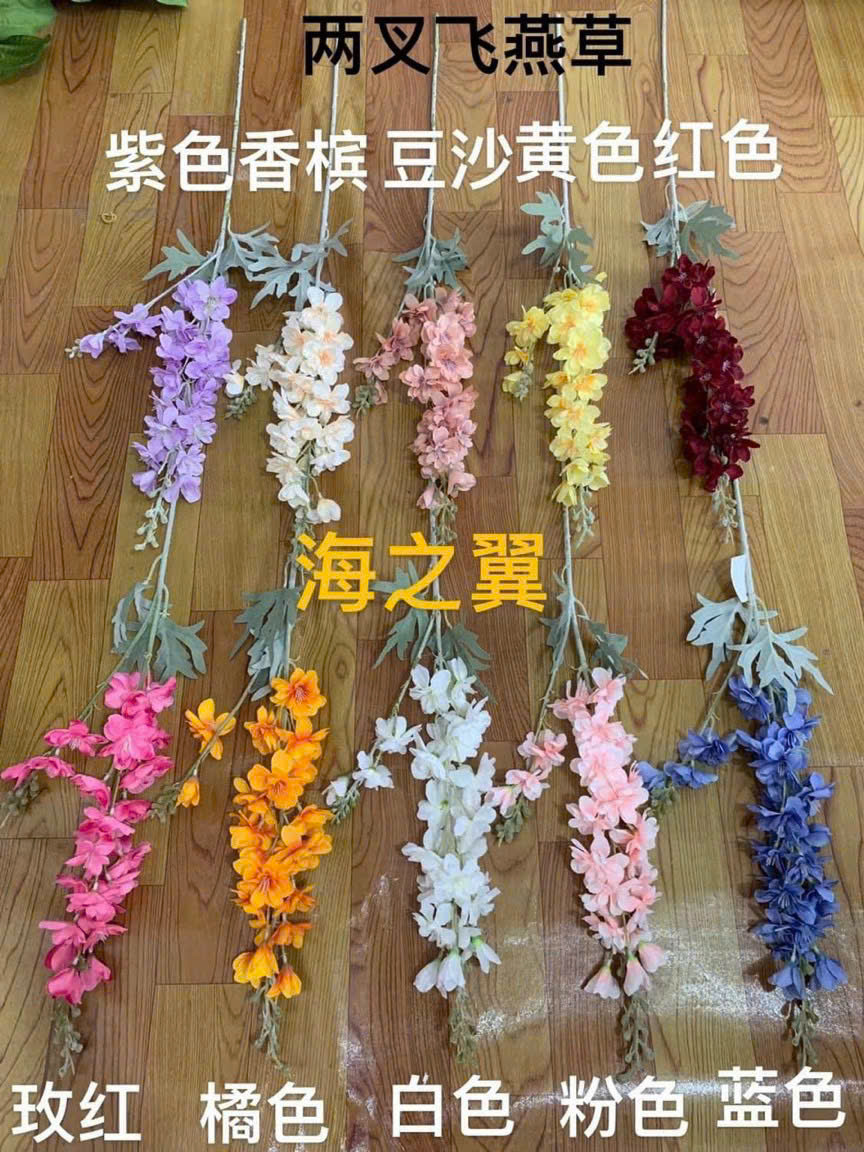 Phi yến kép 16k