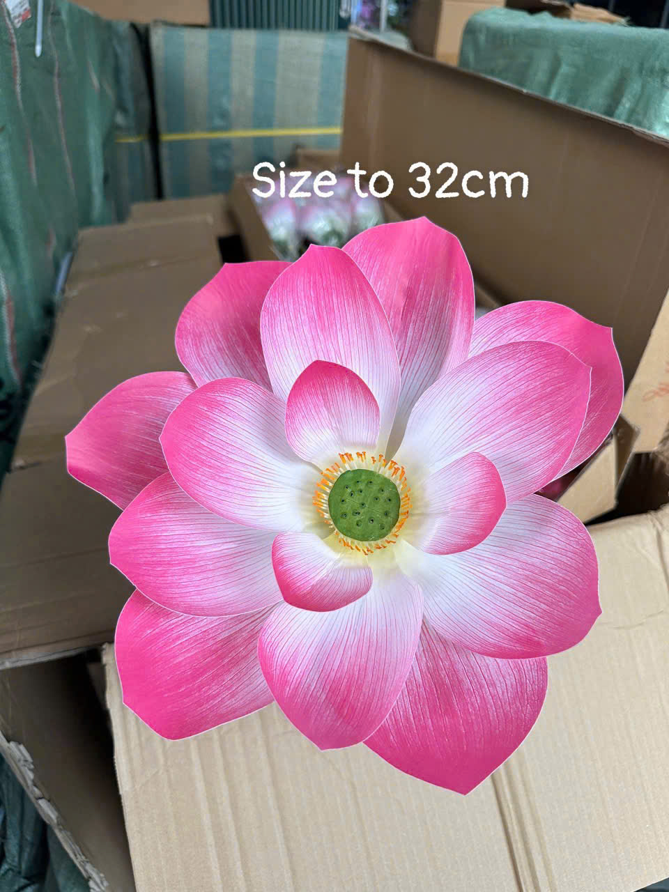 SEN CAO SU 3D SIZE TO 64K_thumbnail_3