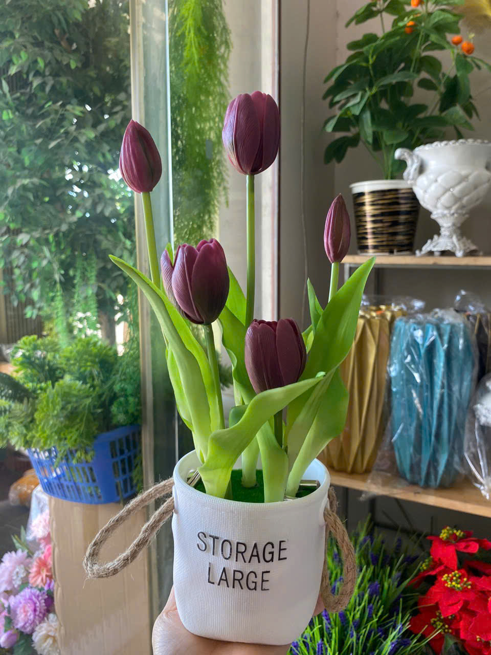 CHẬU TULIP 90K_thumbnail_1