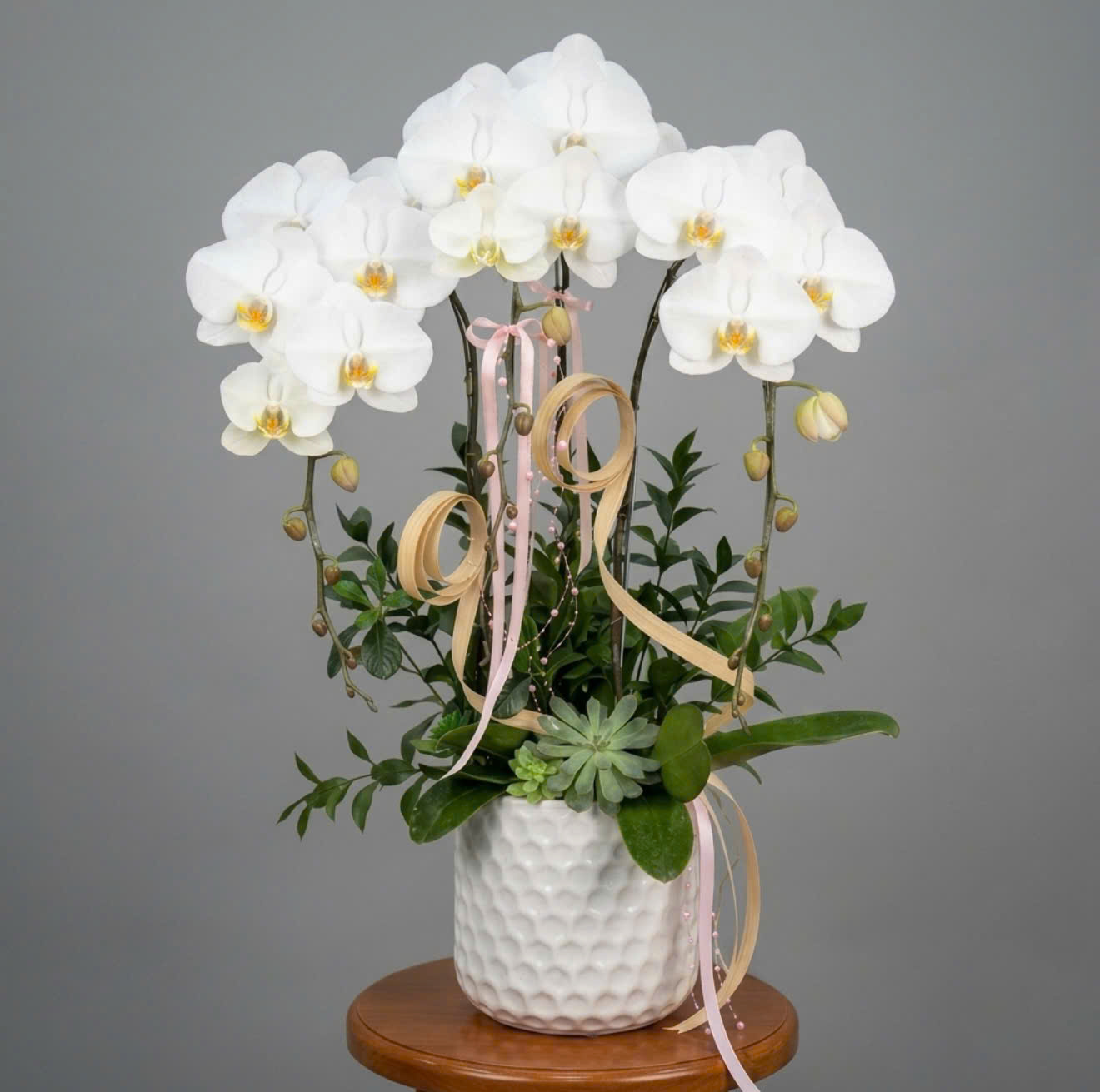 🌸 Chậu Lan Hồ Điệp Trắng 3 Cành Thanh Lịch – Biểu Tượng Của Sự Tinh Khôi Và Thịnh Vượng