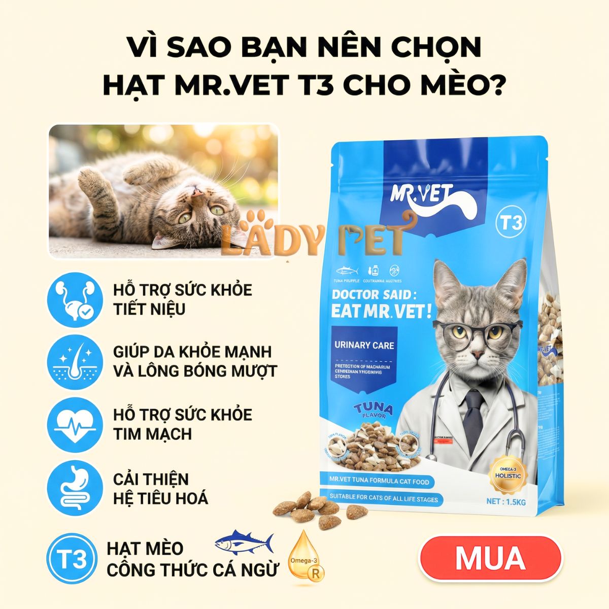Hạt cho mèo MR VET T3 cho mèo (1KG)_thumbnail_5