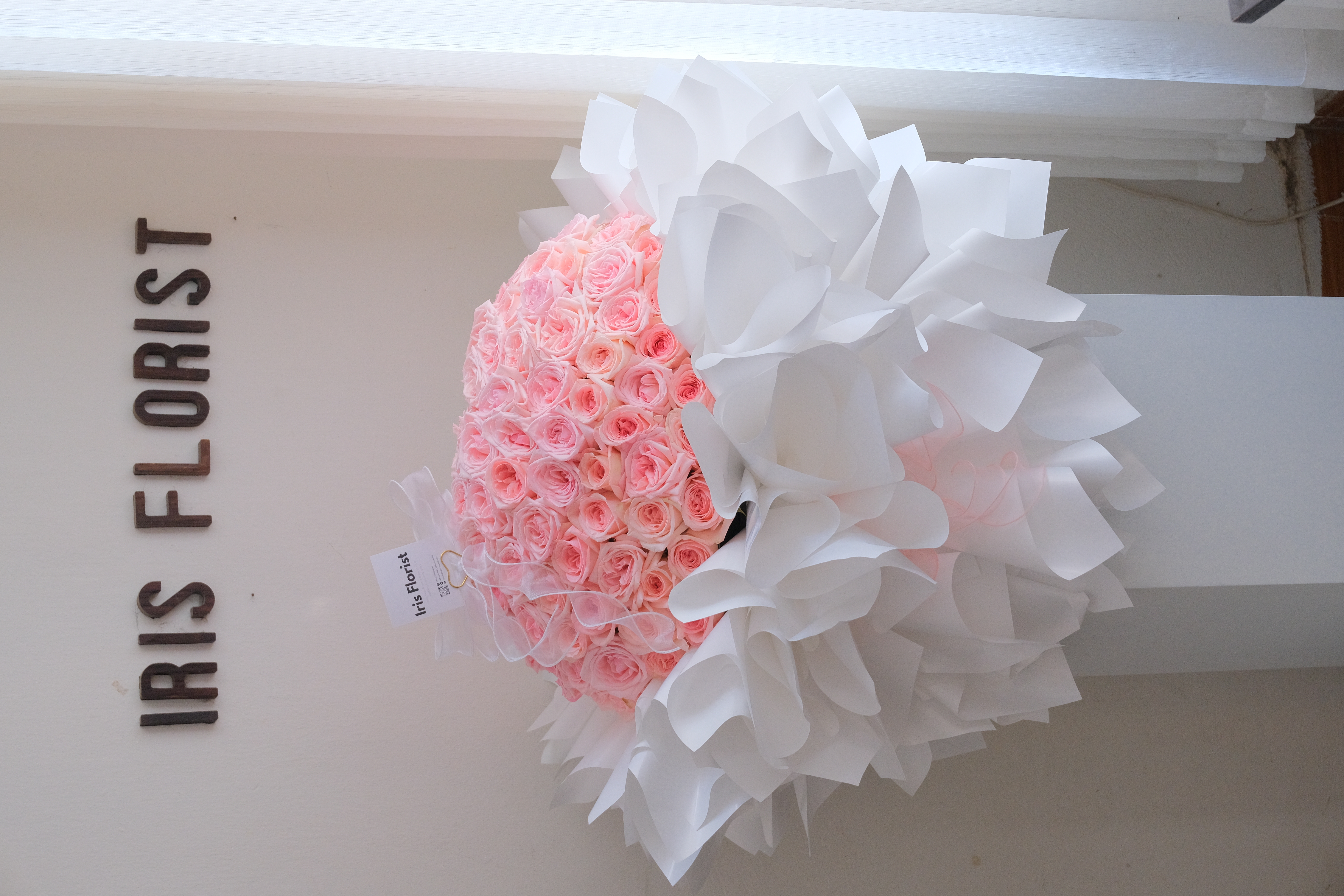 Bó hồng Ohara 99 Bông - Size XXL_thumbnail_2