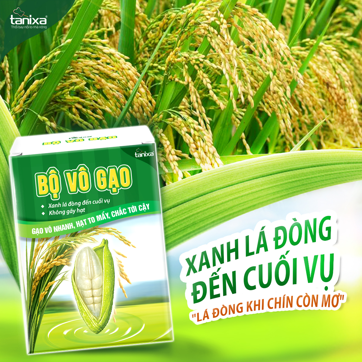 Bộ vô gạo Tanixa_thumbnail_8