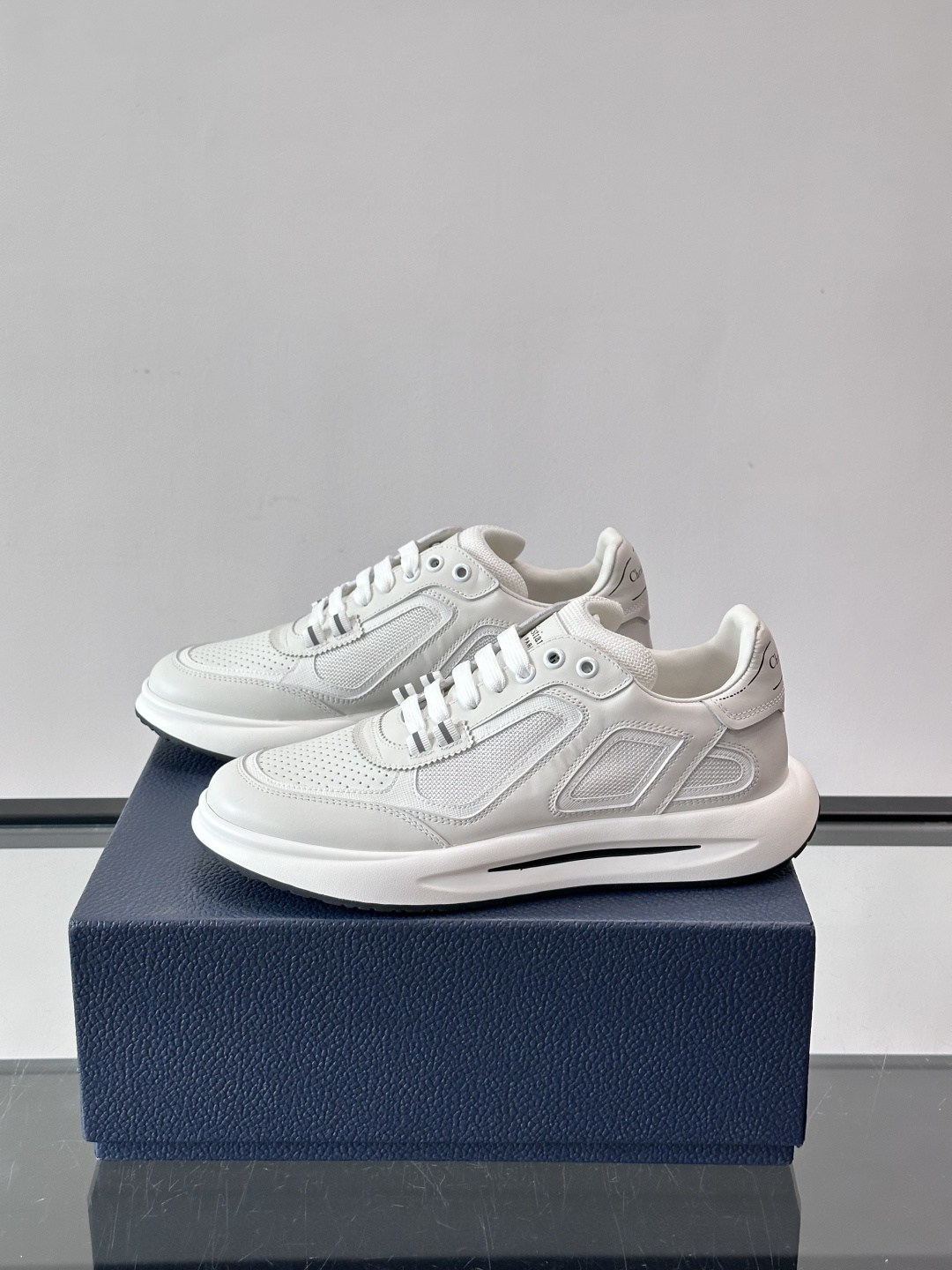 Giày Dior B25