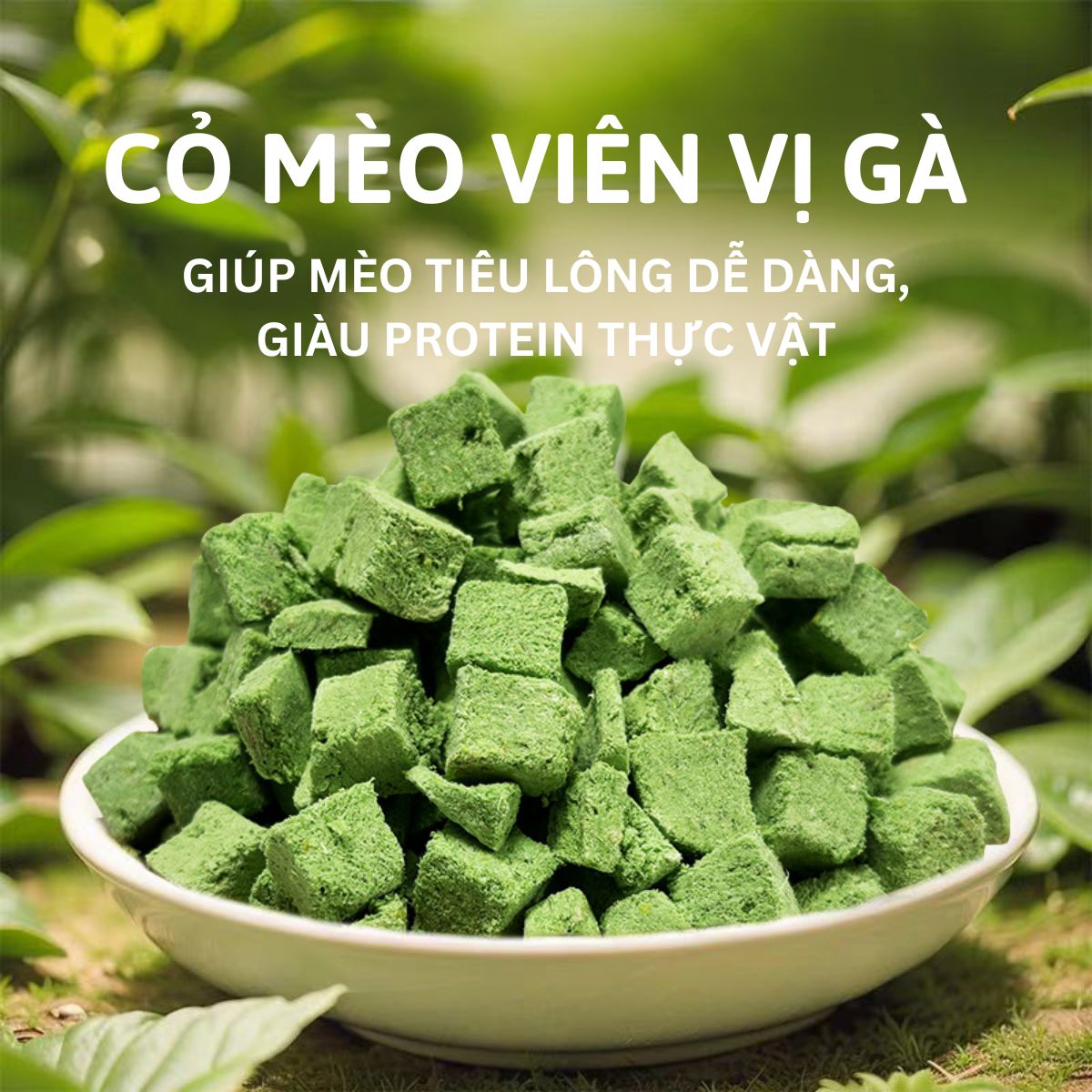 Viên Cỏ Mèo Hỗ Trợ Tiêu Búi Lông Ở Mèo_thumbnail_1
