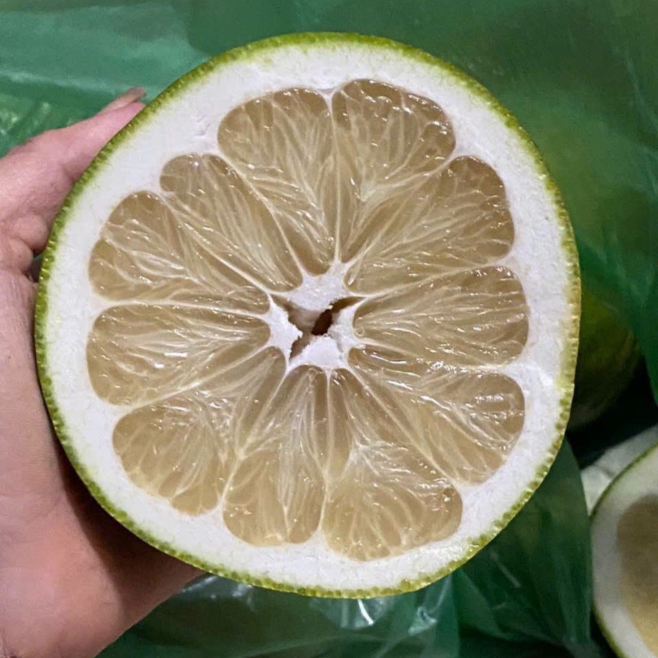 Bưởi Đường Cam