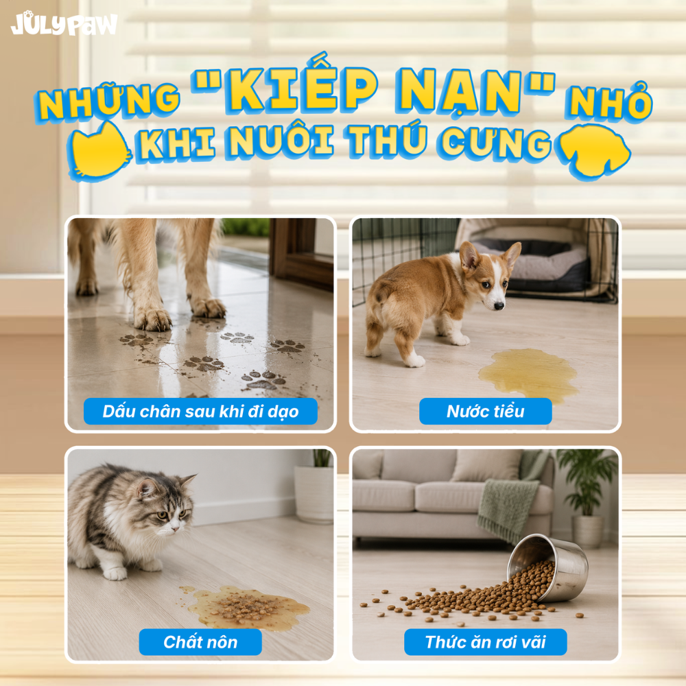 Xịt Lau Sàn Cấp Tốc Cho Thú Cưng_thumbnail_3