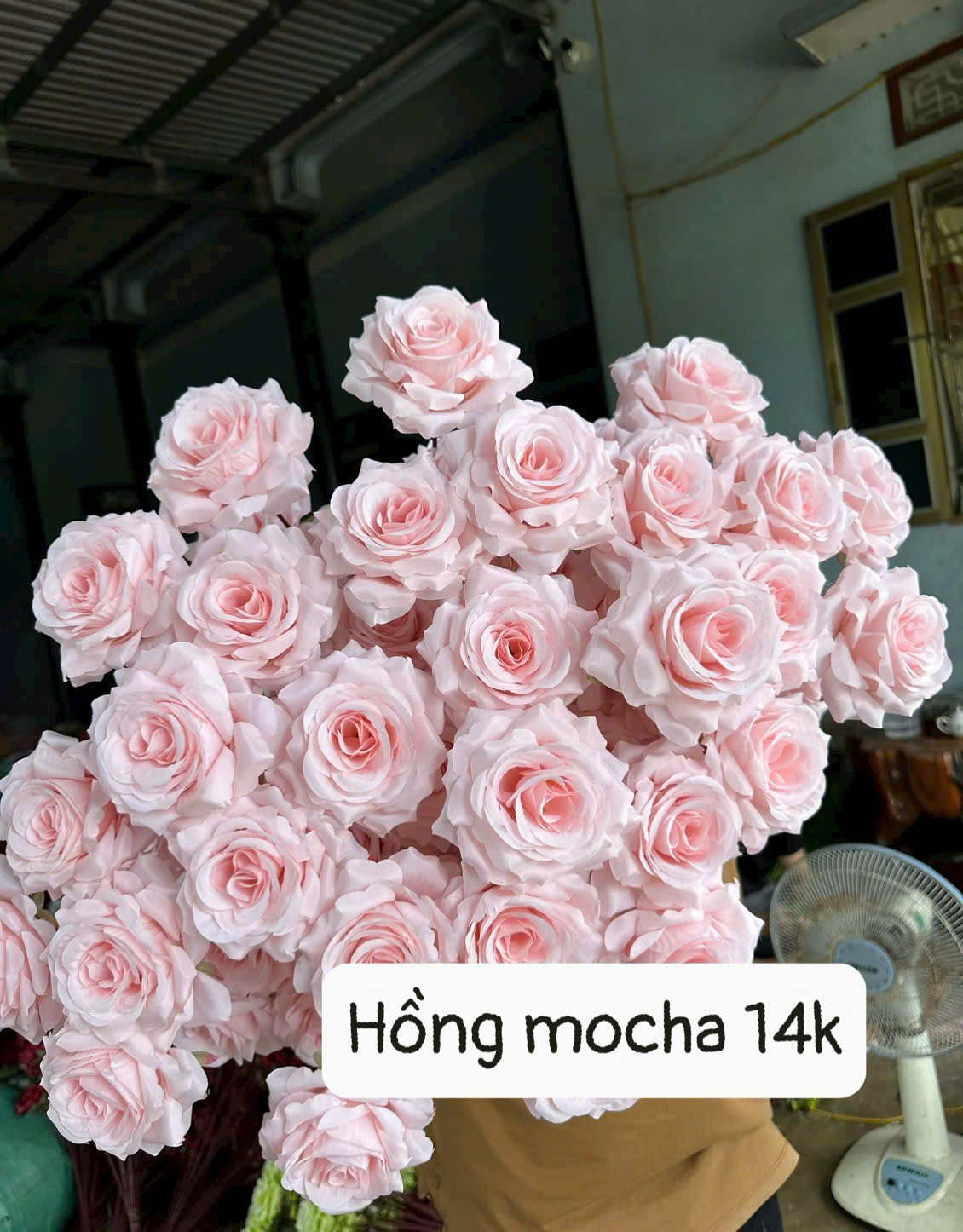 Hồng mocha cành cao - 13k_thumbnail_6