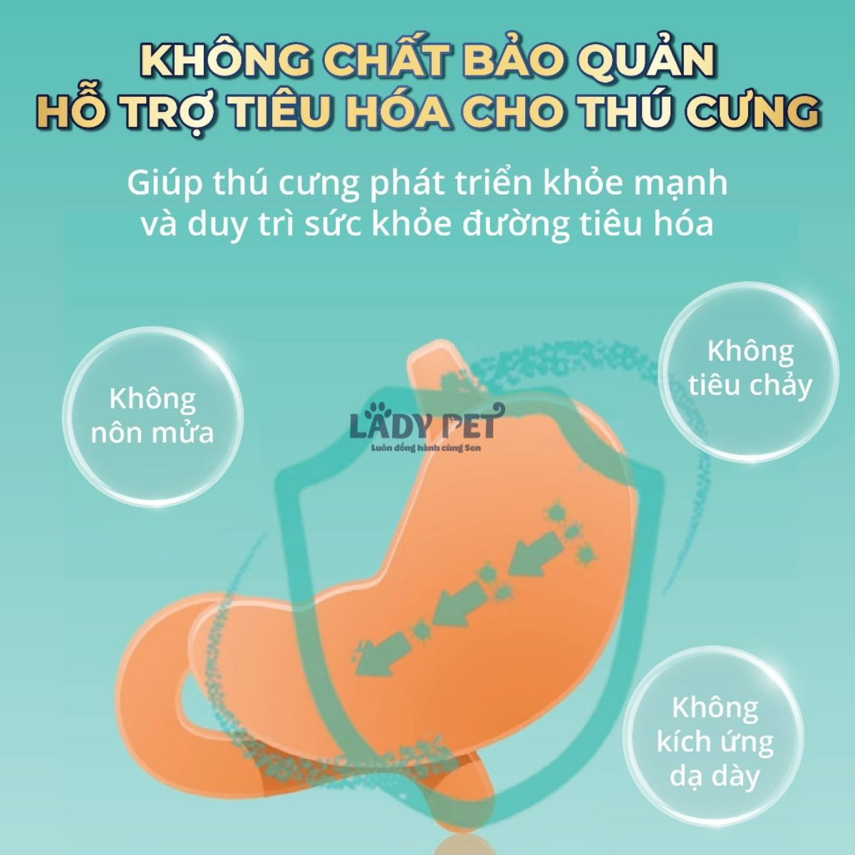 Xương gặm ORGO sạch răng cho chó_thumbnail_4