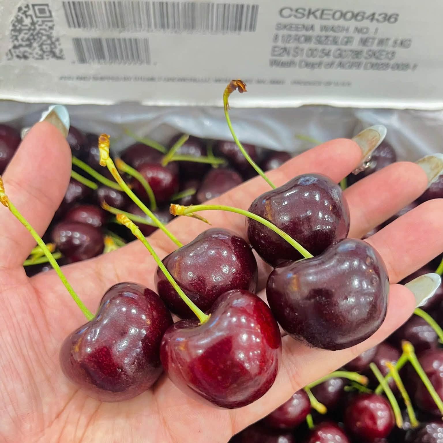 Cherry_thumbnail_0