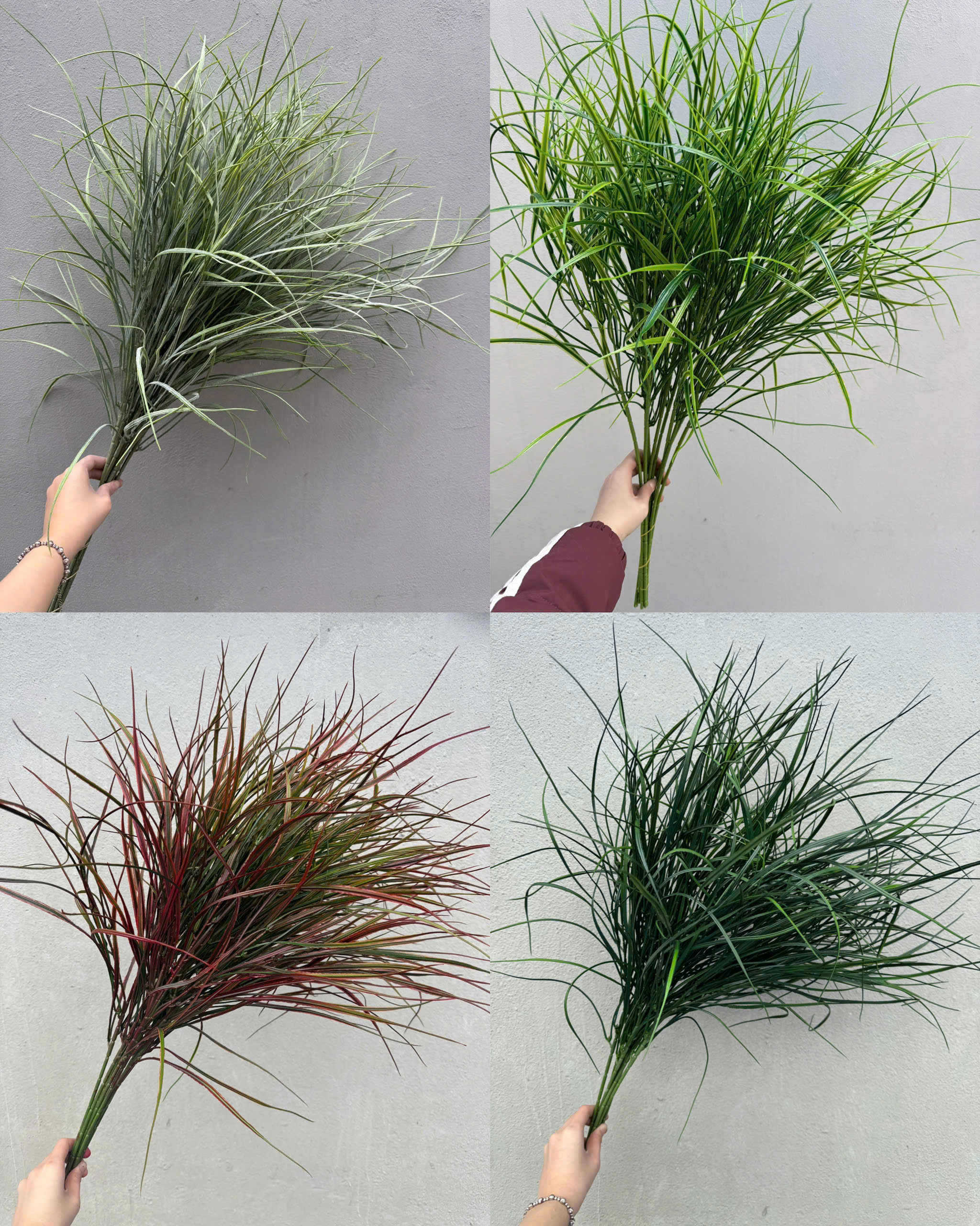 SẬY 10K