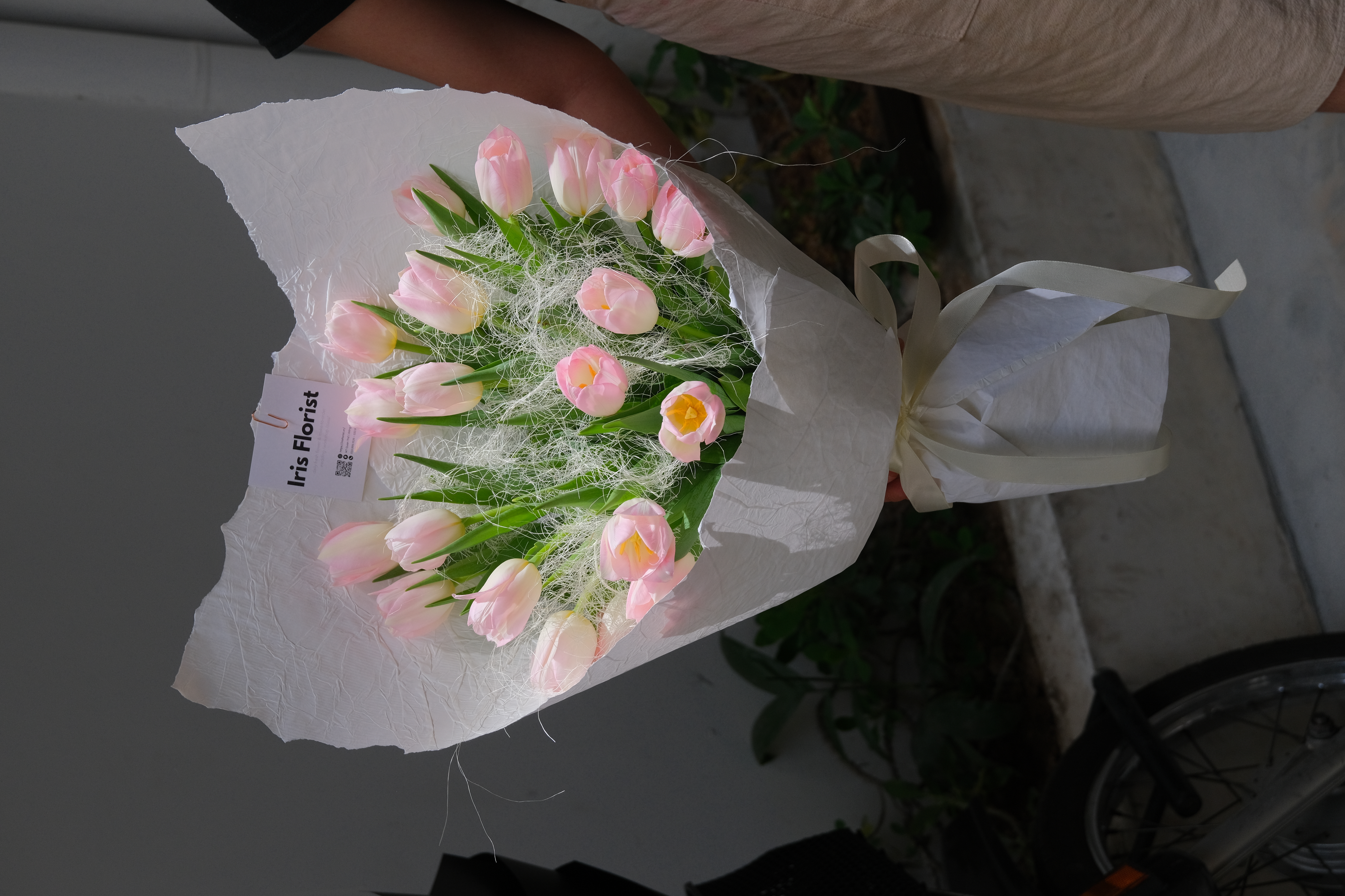 Bó Tulip hồng 20b mix xơ dừa
