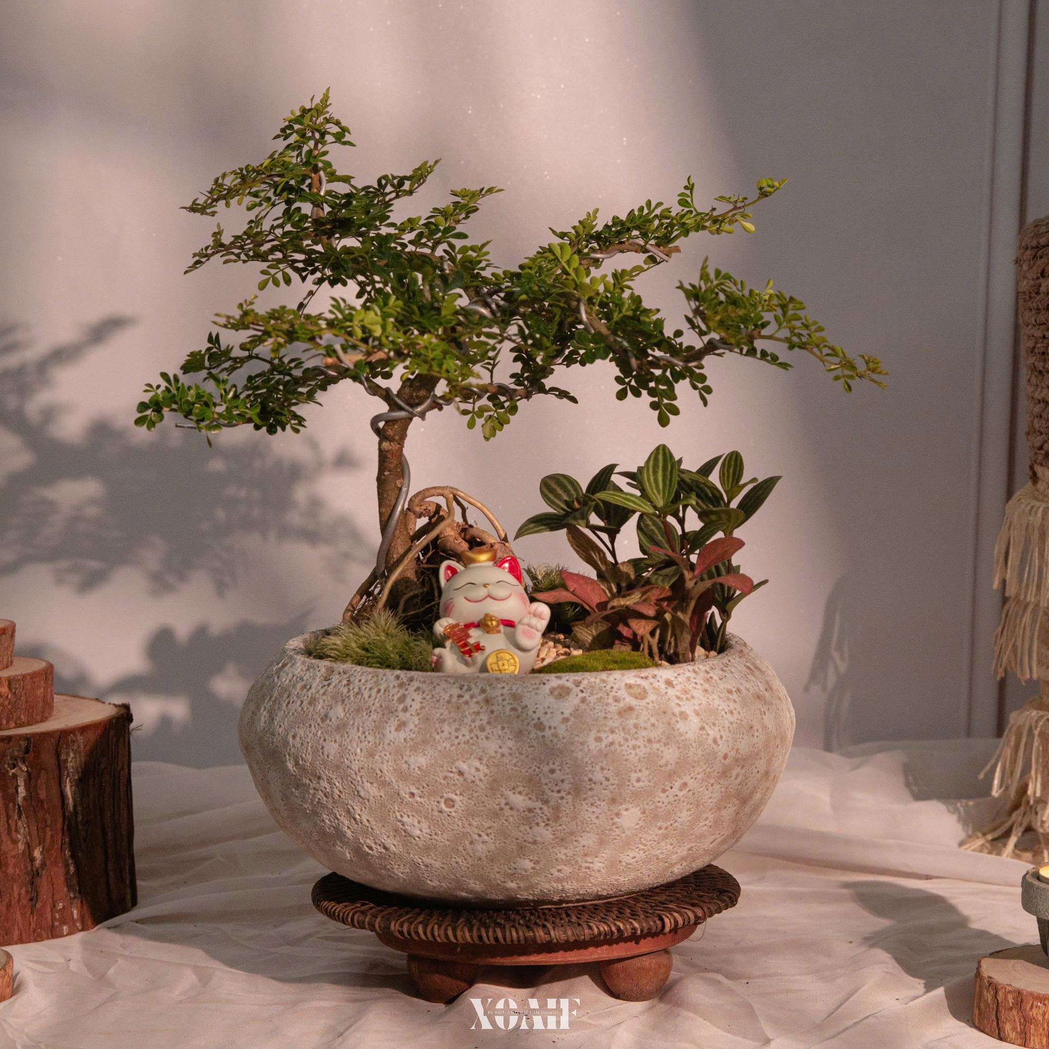 SET MIX CẦN THĂNG CHẬU TRÒN MEN XÔI